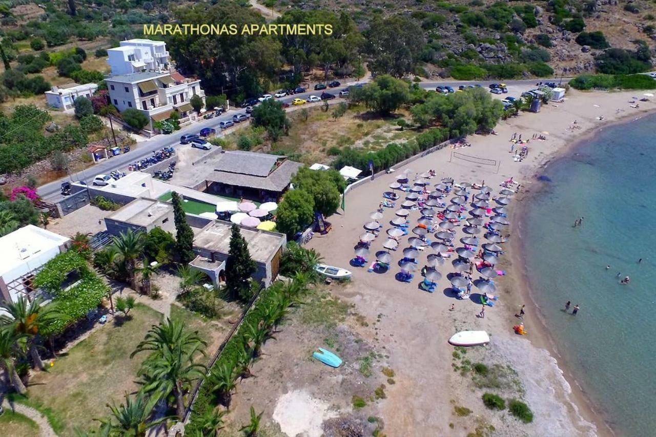 Apartment With Sea View And Balcony 60M From Beach Αίγινα Εξωτερικό φωτογραφία