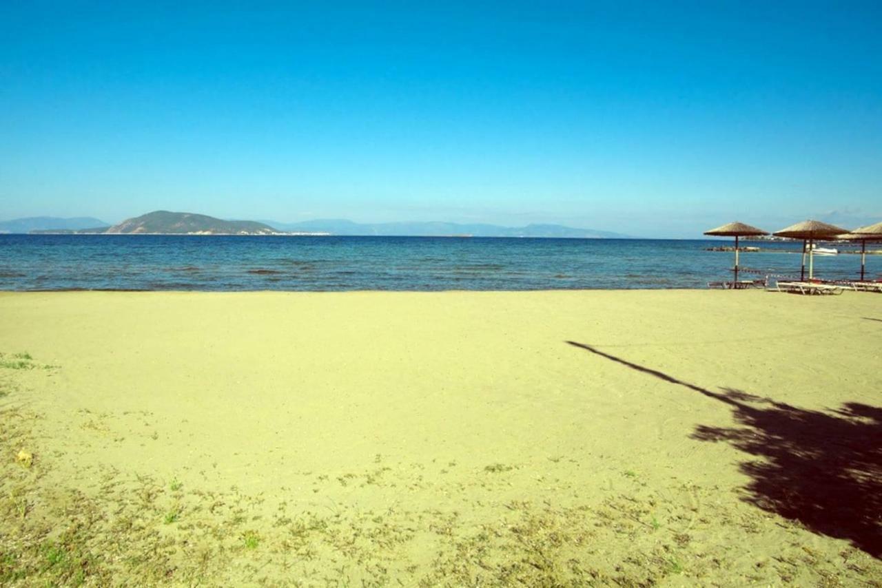 Apartment With Sea View And Balcony 60M From Beach Αίγινα Εξωτερικό φωτογραφία